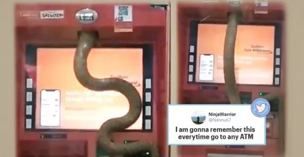 ‘It wants the hiss-ab’: Video of snake slithering inside Ghaziabad ATM goes viral