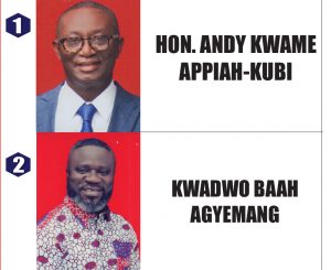 Asante Akyem North NPP Delegates Voting Despite Court Injunction