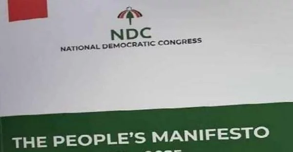 NDC Nominates Spokespersons For 2020 Manifesto 2 NDC Nominates Spokespersons For 2020 Manifesto
