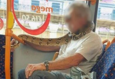 Snake Used As Face Mask On Bus