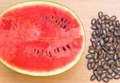 10 Essential Health Benefits of Watermelon Seeds That You Need To Know 14 10 Essential Health Benefits of Watermelon Seeds That You Need To Know