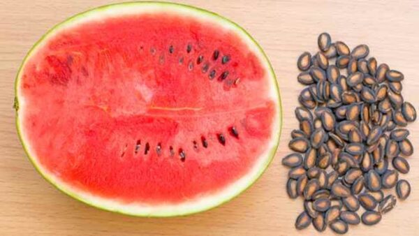 10 Essential Health Benefits of Watermelon Seeds That You Need To Know