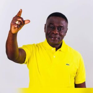 Report Thieves in Your Central Regional NPP Executives to The CID First and Leave Hon. Dr. James Quayson Alone