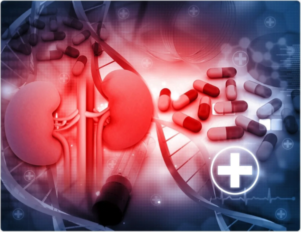 Living Well With Kidney Disease