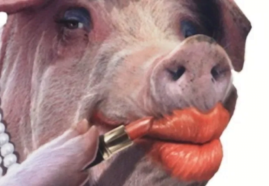 VP Bawumia’s $15-Billion Chinese “Module” Is Lipstick On a Pig 30 VP Bawumia’s $15-Billion Chinese “Module” Is Lipstick On a Pig