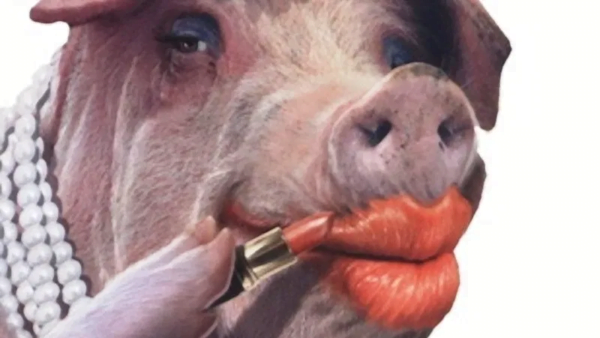 VP Bawumia’s $15-Billion Chinese “Module” Is Lipstick On a Pig