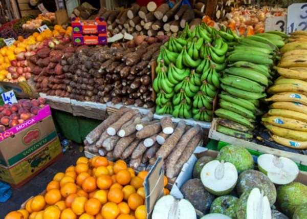 Wait till harvest to know if this year’s output is better than the previous – Deputy Agric Minister 1 Capturepo