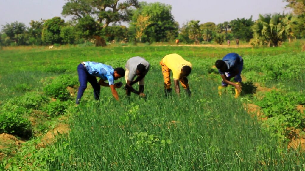 Dr. Peter Takyi Peprah: Food insecurity is concentrated in 5 Regions in the northern part of Ghana 1 dr peter takyi peprah food insecurity is concentrated in 5 regions in the northern part of ghana