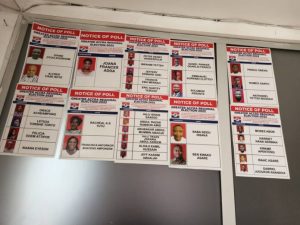 665 voters to decide fate of 34 aspirants in greater accra npp elections