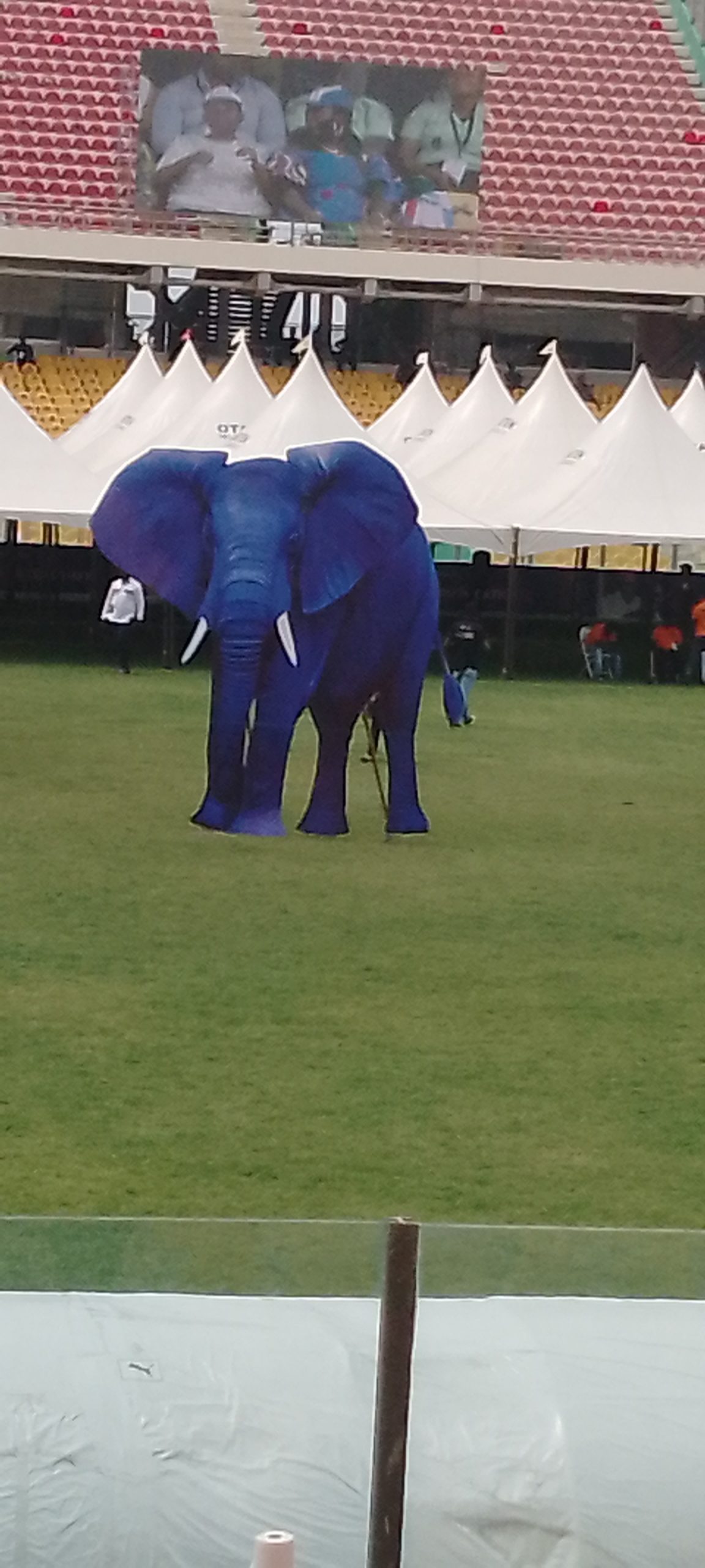 The Elephant of NPP