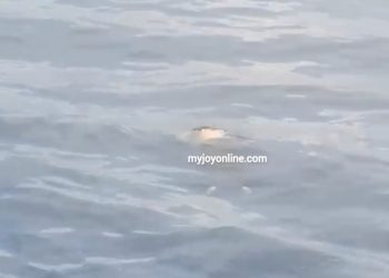 8 die on River Oti due to capsized boat