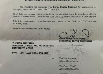 Akufo-Addo appoints Derek Kwaku Nkansah as PBC MD