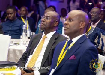 Aluminium downstream industry has huge economic potential – Abu Jinapor