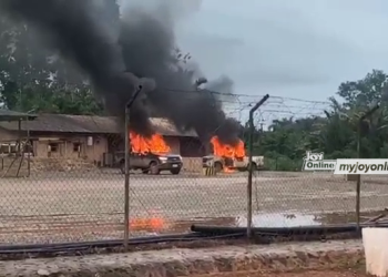 Chamber of Mines appeals to government to protect mining firms