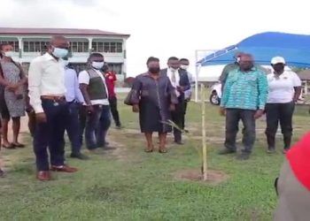 Goats ate seedlings planted under Green Ghana project because they were not protected – Environmentalist