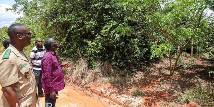 government dismisses claims of ghe282b52 3 billion debt owed to green ghana seed providers