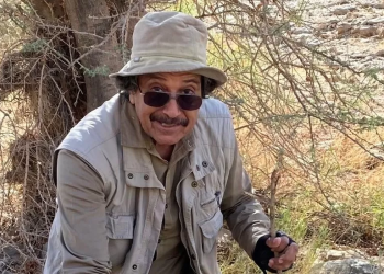 Saudi Arabia releases US man jailed over tweets