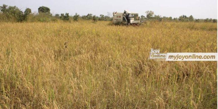 secured land tenure system key to successful climate smart agric in ghana knust research