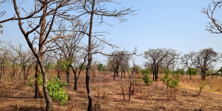 weather information assists farmers to adapt to climate change