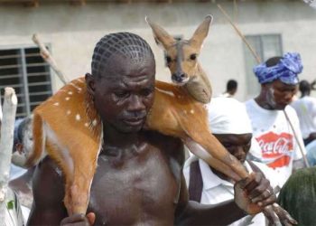 2023 Aboakyer Festival Cycling Race to be launched in Accra