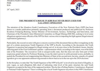 Abuakwa South NPP denies Nana Addo has any garden used for galamsey