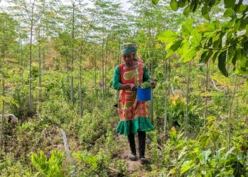 Addressing gender gap in agrifood systems could enhance global economy by $1 trillion – FAO New Report