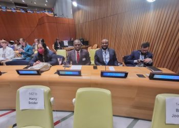 Attaining SDGs: Youth and Sports Minister proposes UN support for young businesses owners