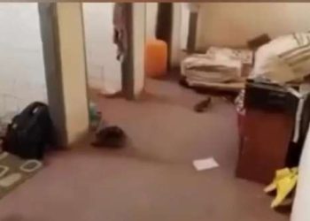 Authorities deny turning GHANASCO toilet to accommodation for students