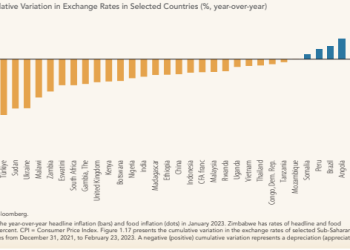 Cedi weakens by 20% to dollar so far in 2023 – World Bank