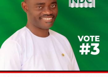 ‘Choose experience not experiment for development’ – Bernard Ahiafor