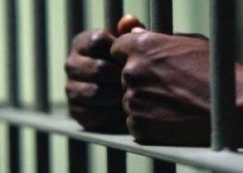 Court jails three cell escapees