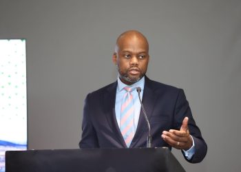 Debt crisis: IMF support unlikely, intra-Africa trade is the way out – Wamkele Mene