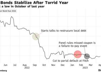 IMF Director says Ghana has taken enough pain to unlock aid