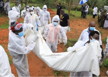 Kenya cult deaths: 21 bodies found in investigation into ‘starvation cult’