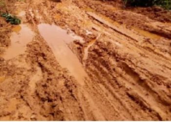 Krachi East MP told to deliver the road as he promised