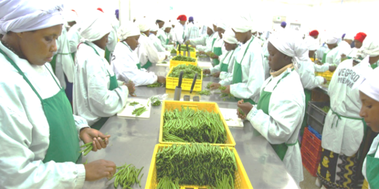 learning from kenyas vegpro group ghanaian bankers gain insights into modern agricultural practice