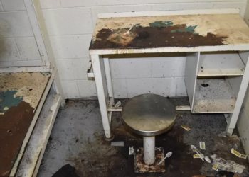 Man ‘eaten alive’ by bed bugs in jail – Family