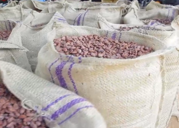 Minority takes on COCOBOD after Mahama’s claims on cocoa sector