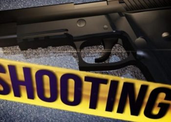 Mother of 6-year-old who shot Virginia teacher charged