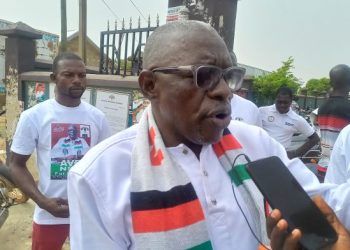 NDC needs experienced, development-oriented leader for Bongo – Prof Avea