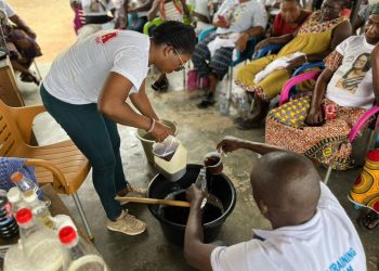 NDC Primaries: I’m the tsetse fly that will kill the elephant in Hohoe – Vera Hayibor