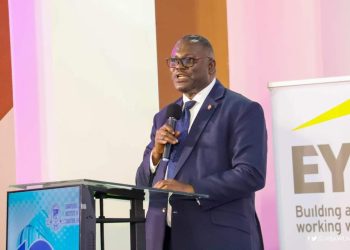 New tax bills will affect businesses and cause unemployment – Dr Ali-Nakyea