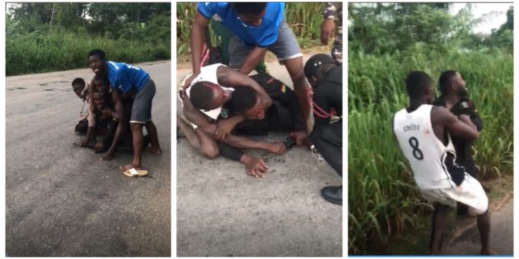 police officer caught in a brawl over rat carcass