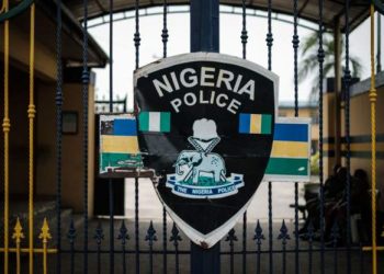 Policemen sacked for gun salute to Nigerian singer