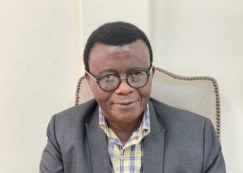 Presidential appointments have become means for creating jobs for party members and friends – Prof. Baffuor Agyeman-Duah 2 Presidential appointments have become means for creating jobs for party members and friends – Prof. Baffuor Agyeman-Duah