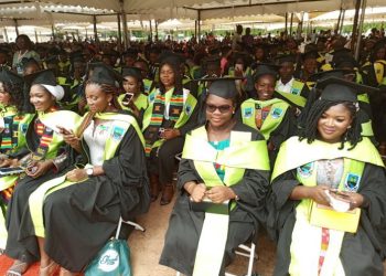 Promote problem-solving through technology – Bono Minister to UENR