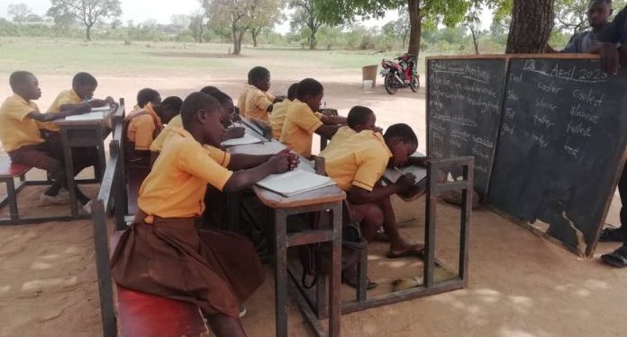 school under trees worrying residents of jinkpang