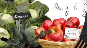 Scientists develop Kraft paper-based sensor to detect traces of pesticides in food