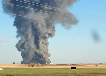 Texas dairy farm explosion kills 18,000 cows