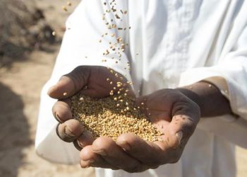 The concept of Zakat in Islam: Practical lessons from 2023 Zakat al-Fitr